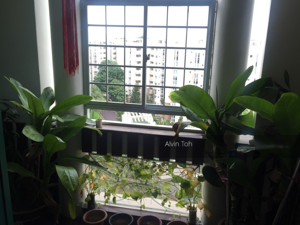 Hillview Heights (D23), Condominium #141302452